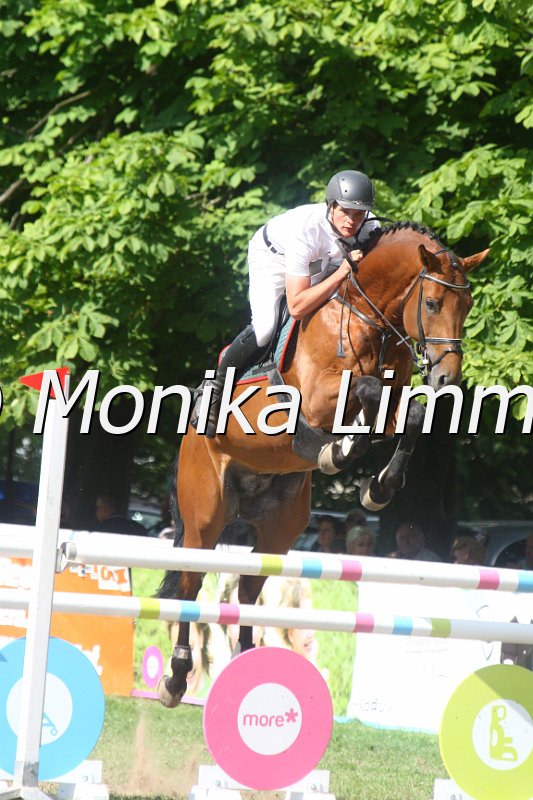 308M3804_Cortoni_Springpferde Mx.JPG